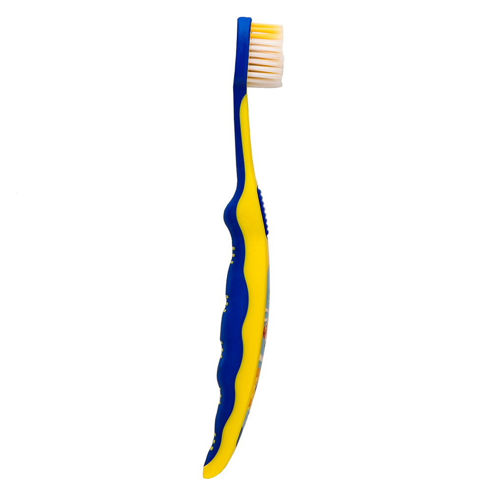 Multicolor Tooth Brush1
